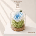 Preserved Rose in Glass Dome with LED Light