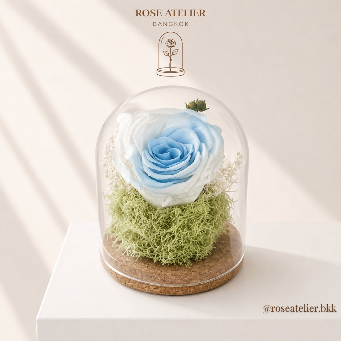 Preserved Rose in Glass Dome with LED Light