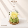 Sunshine Dome – Preserved Rose with LED Light
