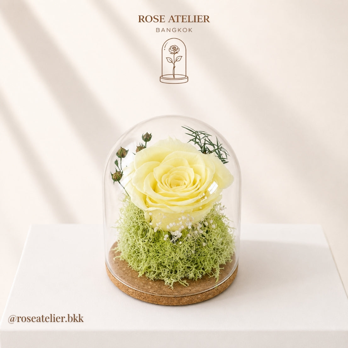 Sunshine Dome – Preserved Rose with LED Light
