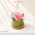 Blush Dome – Preserved Rose with LED Light