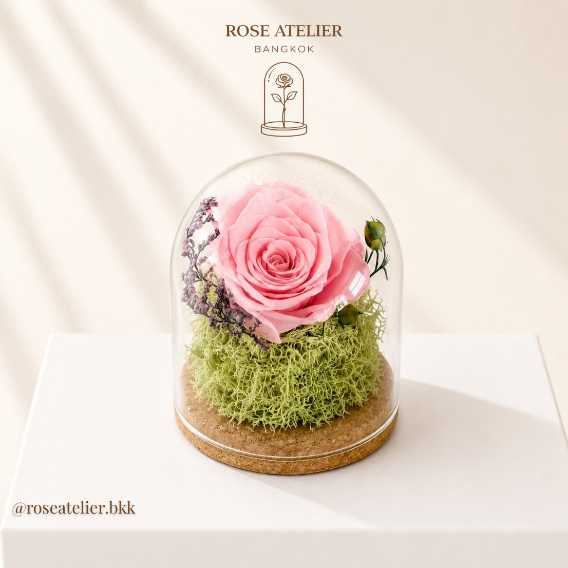 Blush Dome – Preserved Rose with LED Light