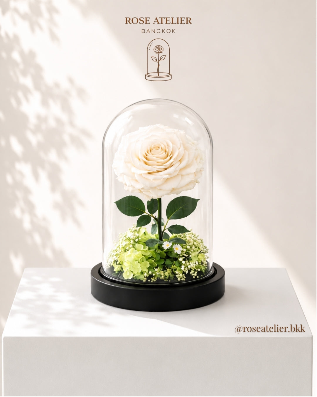 Pure Love – Large Preserved Rose