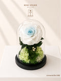 Large blue-white preserved rose in glass dome by Rose Atelier Bangkok