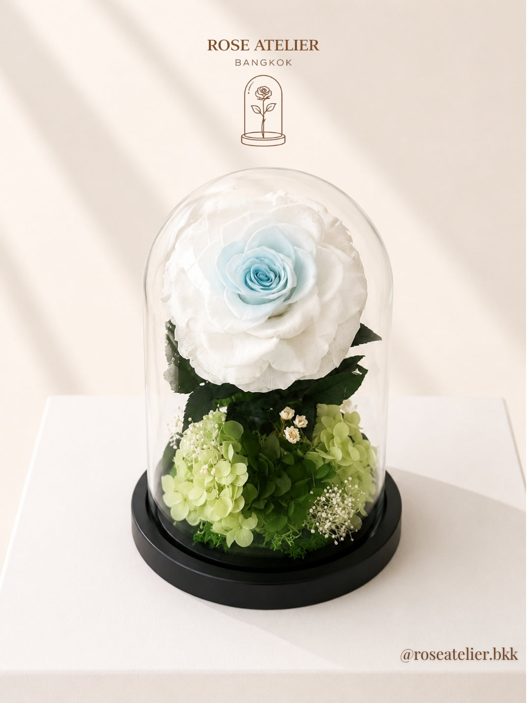 Large blue-white preserved rose in glass dome by Rose Atelier Bangkok