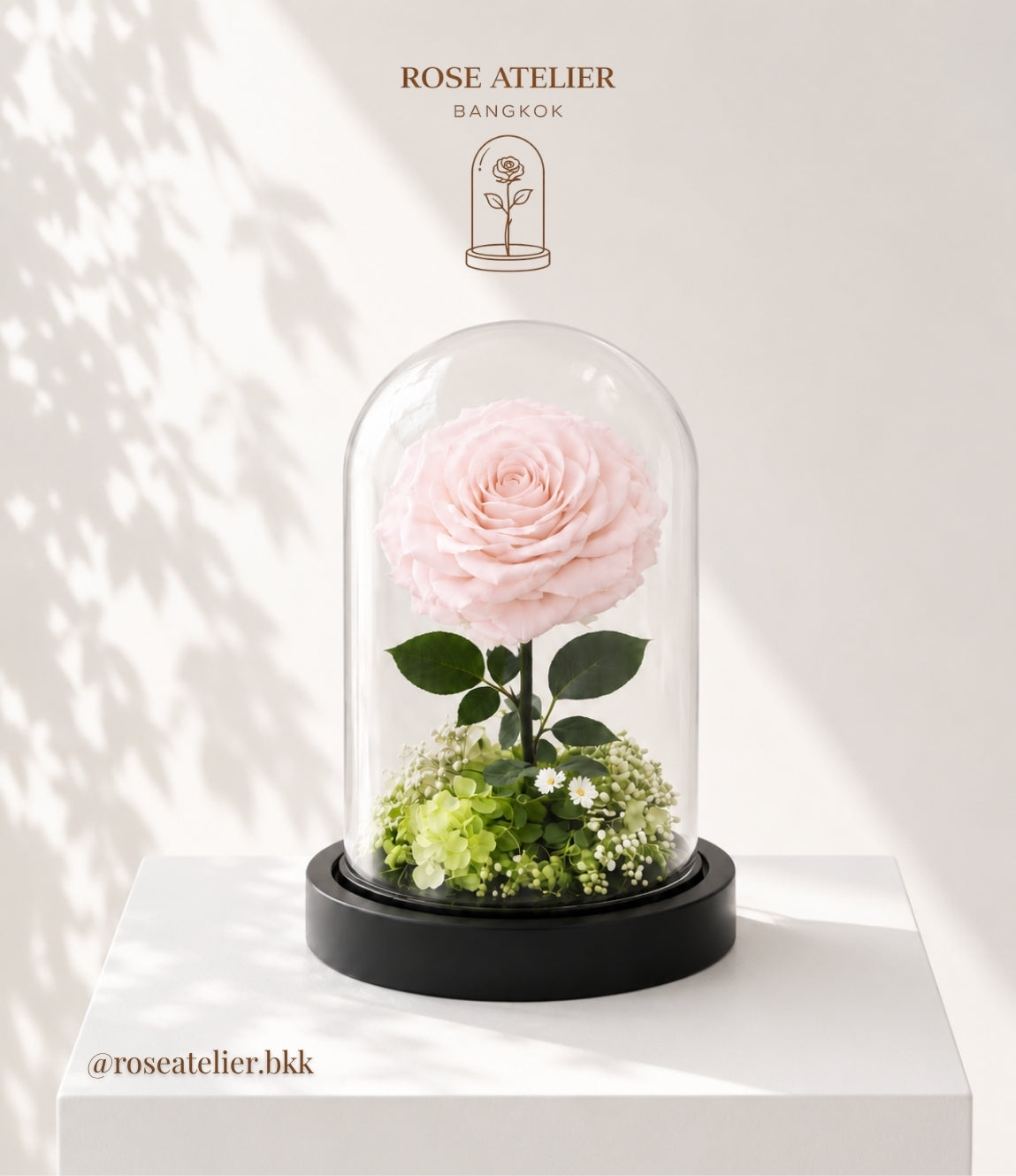 Princess Dome – Large Preserved Rose